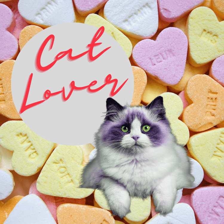 A Cat Lover gift collection - Gizmo Gifts