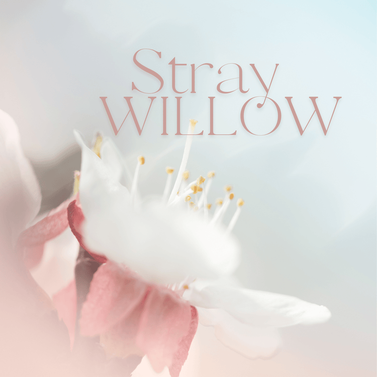 A floral spray featuring Stray Willow (All natural self-care) - Gizmo Gifts