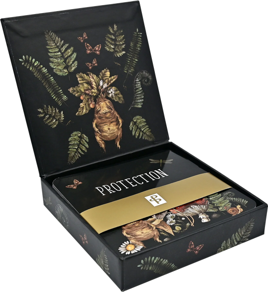 Decorative box with botanical design and 'PROTECTION' text on a white background