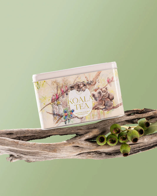 Koala Tea package on a branch with a green background