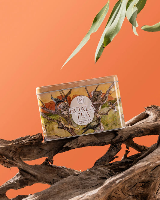 Koala Tea packaging on a wooden branch with an orange background