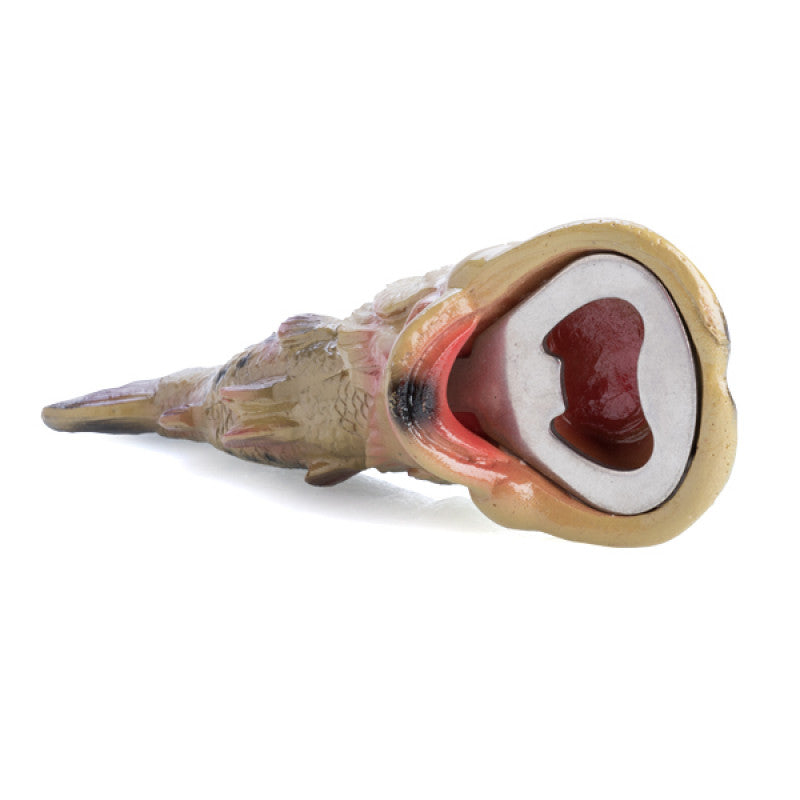 Model of a snail with a cutaway showing its internal anatomy on a white background