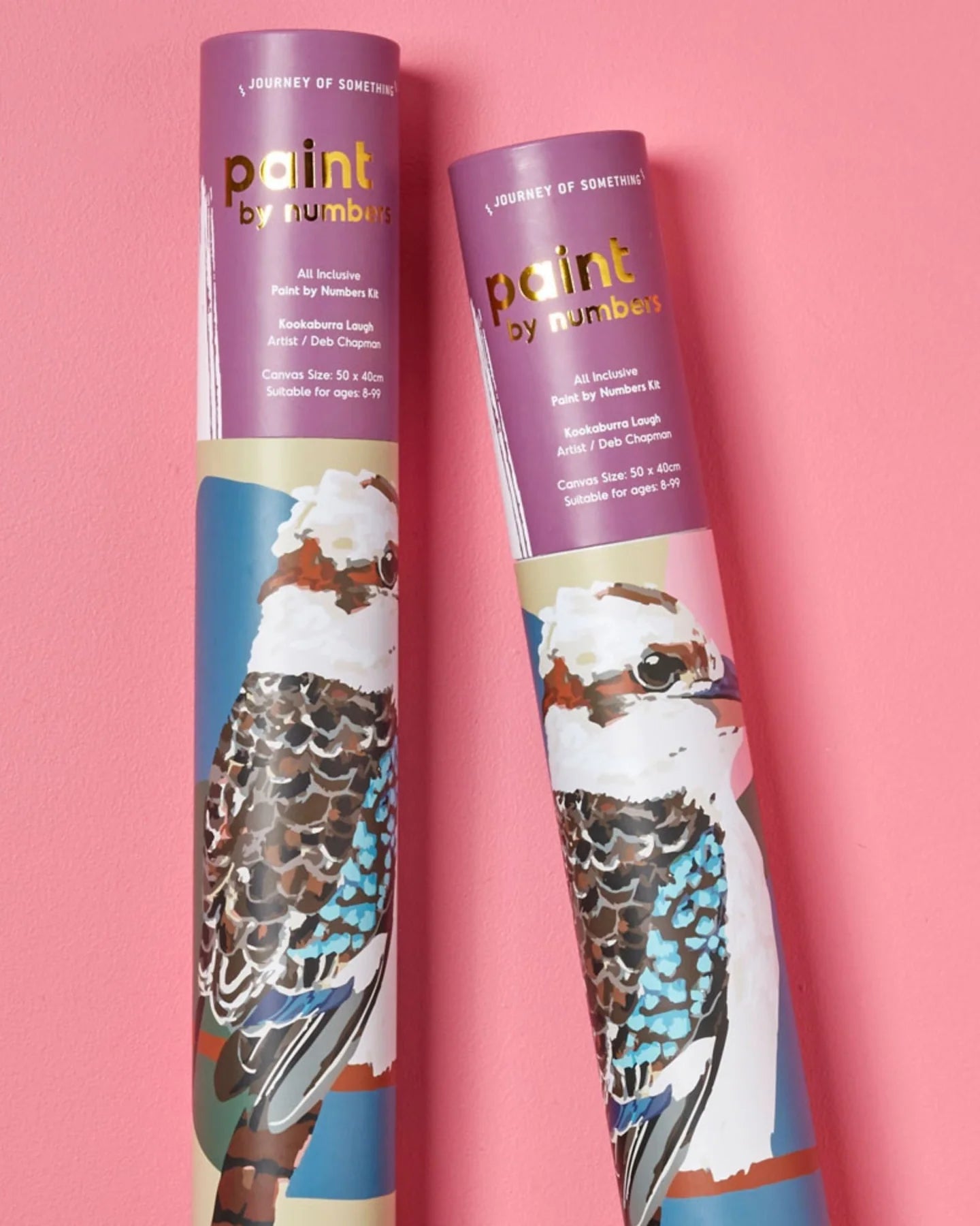 Two 'paint by numbers' kits with a bird design on a pink background