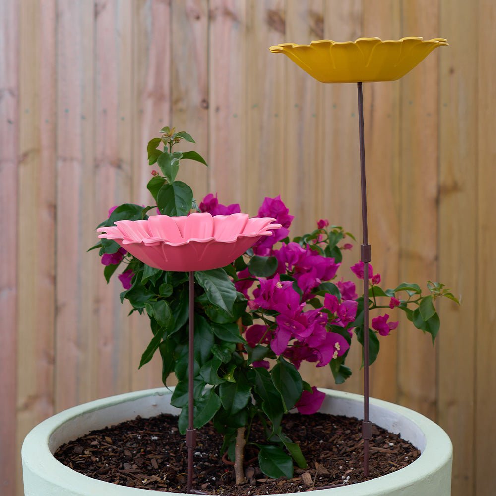 Bird bath - Sunflower Yellow - Gizmo Gifts