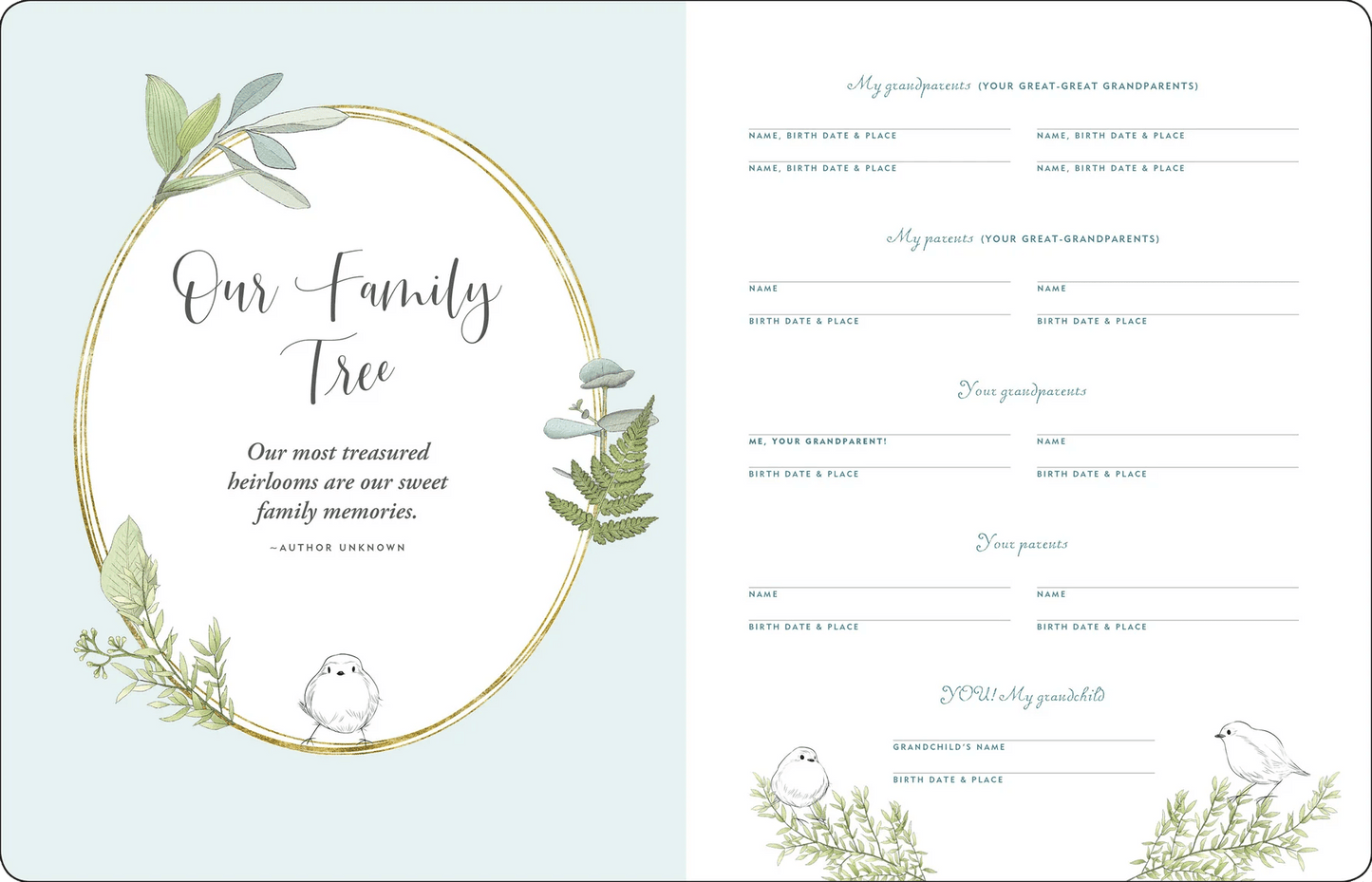 Book - Memories for my Grandchild: A keepsake to remember - Gizmo Gifts