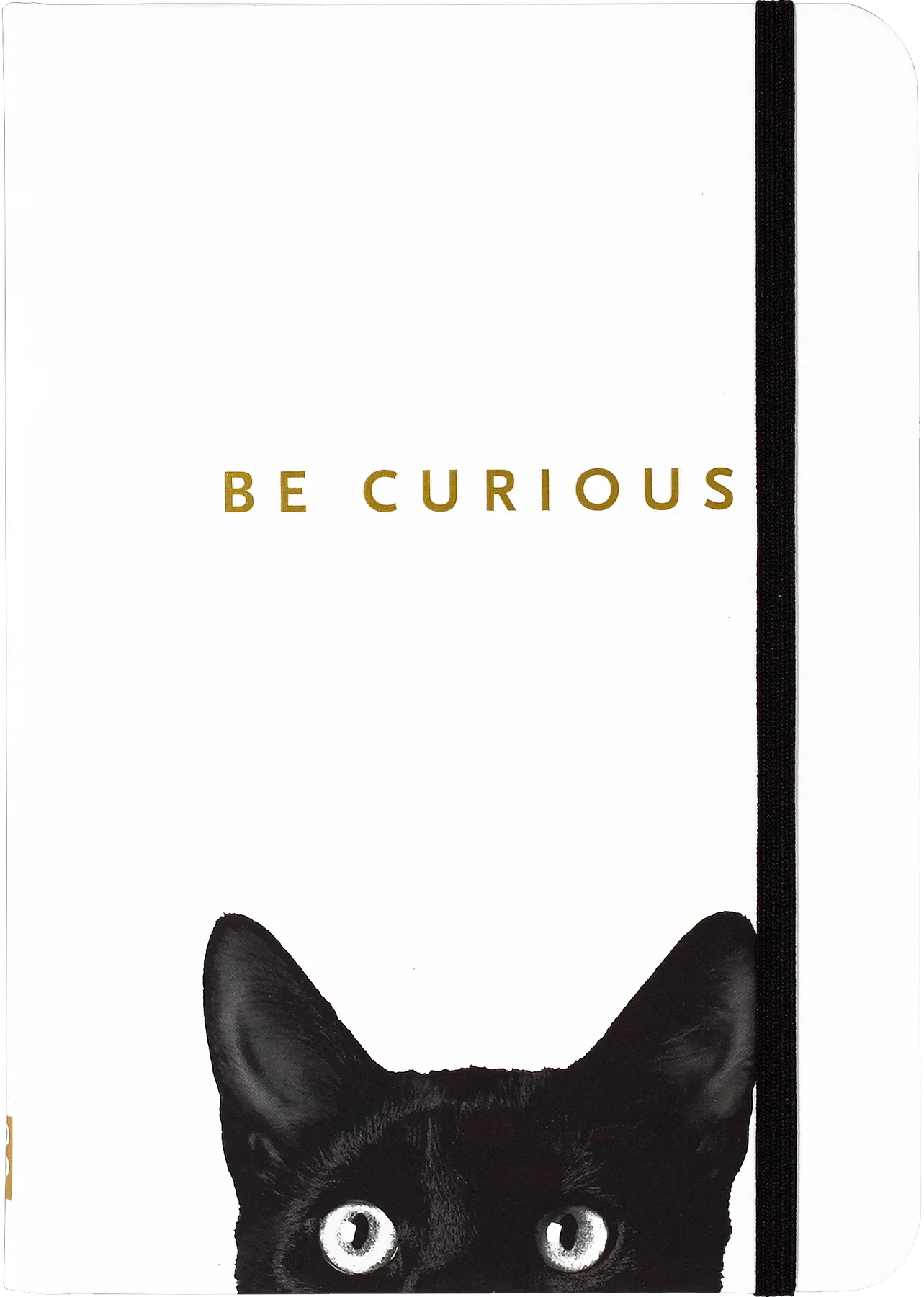 Journal - Curious cat (small 5"x7")