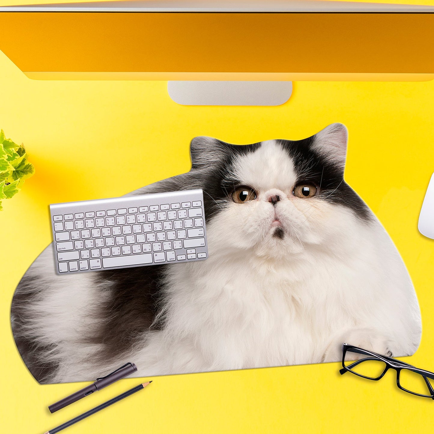 Fat cat desk mat - Gizmo Gifts