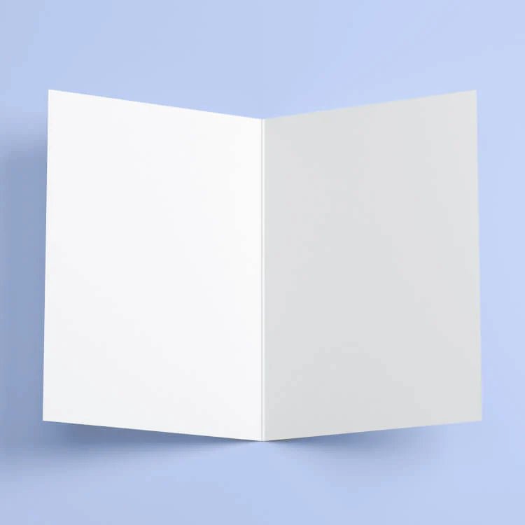 Greeting cards - Fly economy - Gizmo Gifts