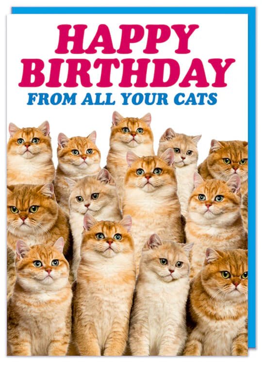 Greeting cards - Happy birthday from all your cats - Gizmo Gifts
