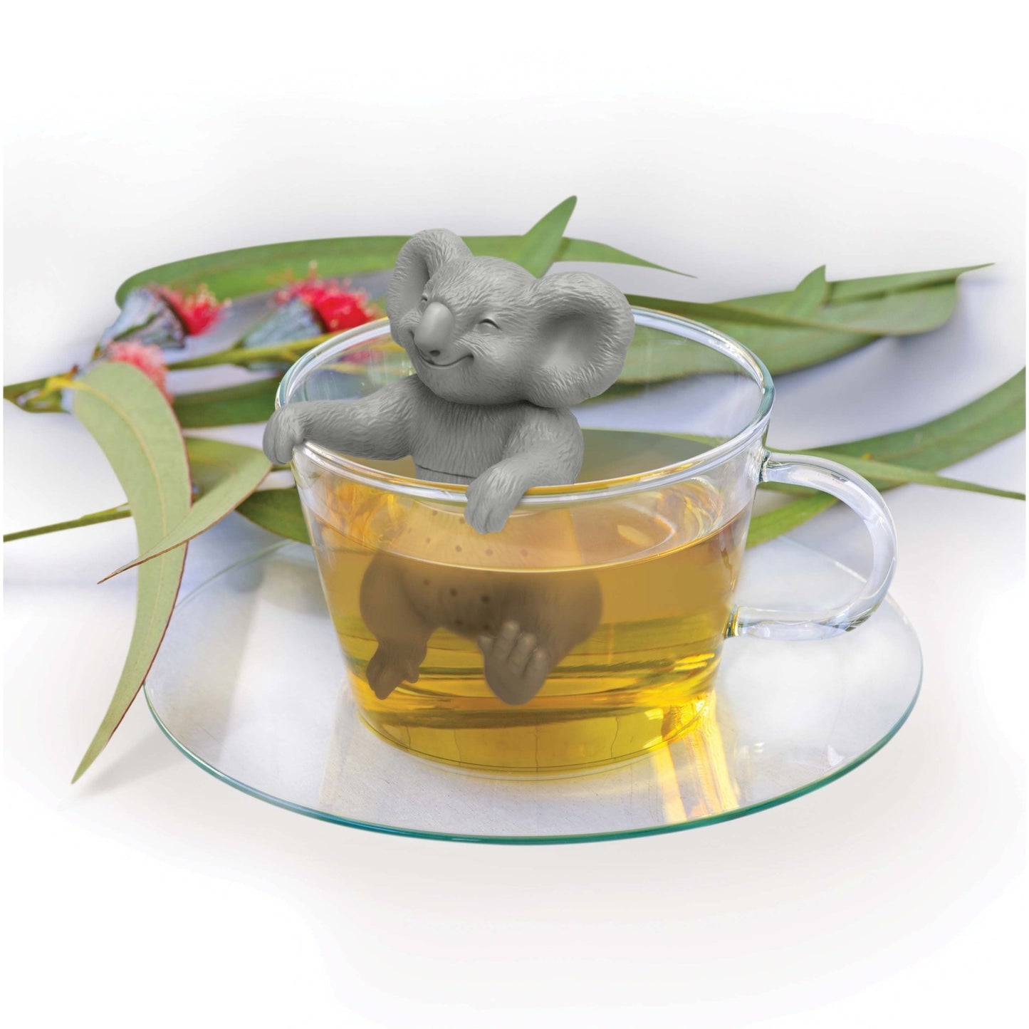 Koala Tea Dweller by FRED - Gizmo Gifts