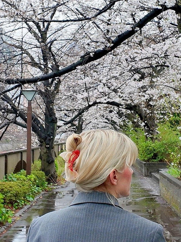 Person with a stylish hairdo standing under cherry blossom trees