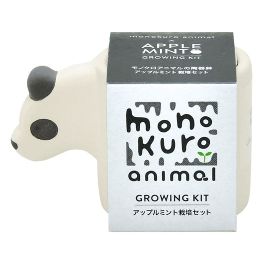 Mini pot growing kit - Panda (Apple Mint) - Gizmo Gifts