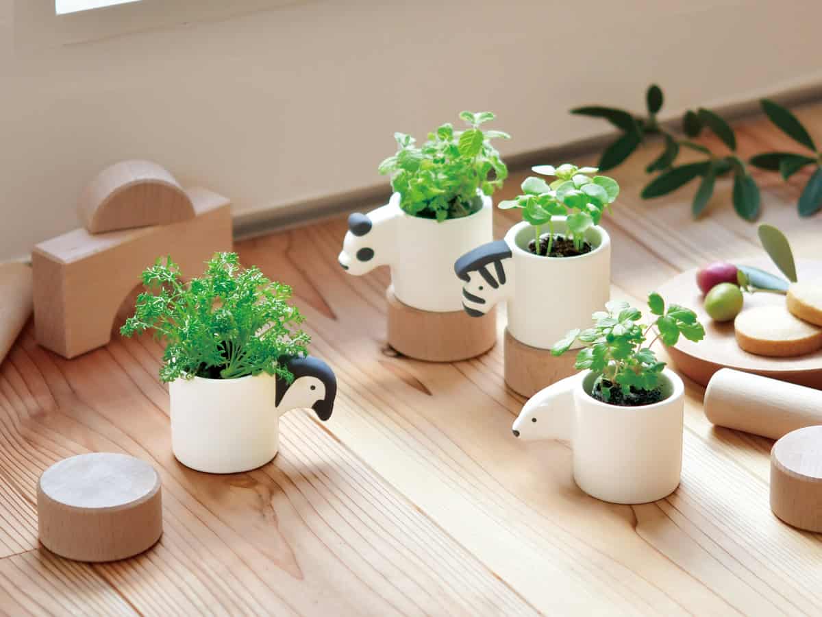 Mini pot growing kit - Zebra/Sweet Basil - Gizmo Gifts