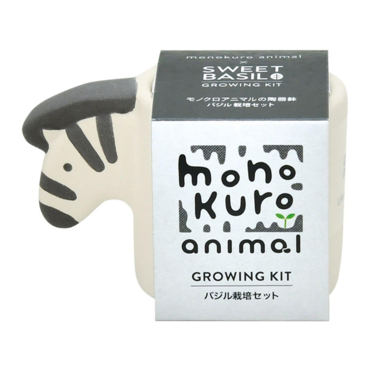 Mini pot growing kit - Zebra/Sweet Basil - Gizmo Gifts