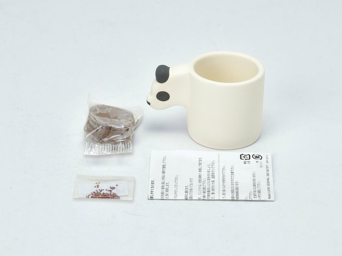 Mini pot growing kit - Zebra/Sweet Basil - Gizmo Gifts