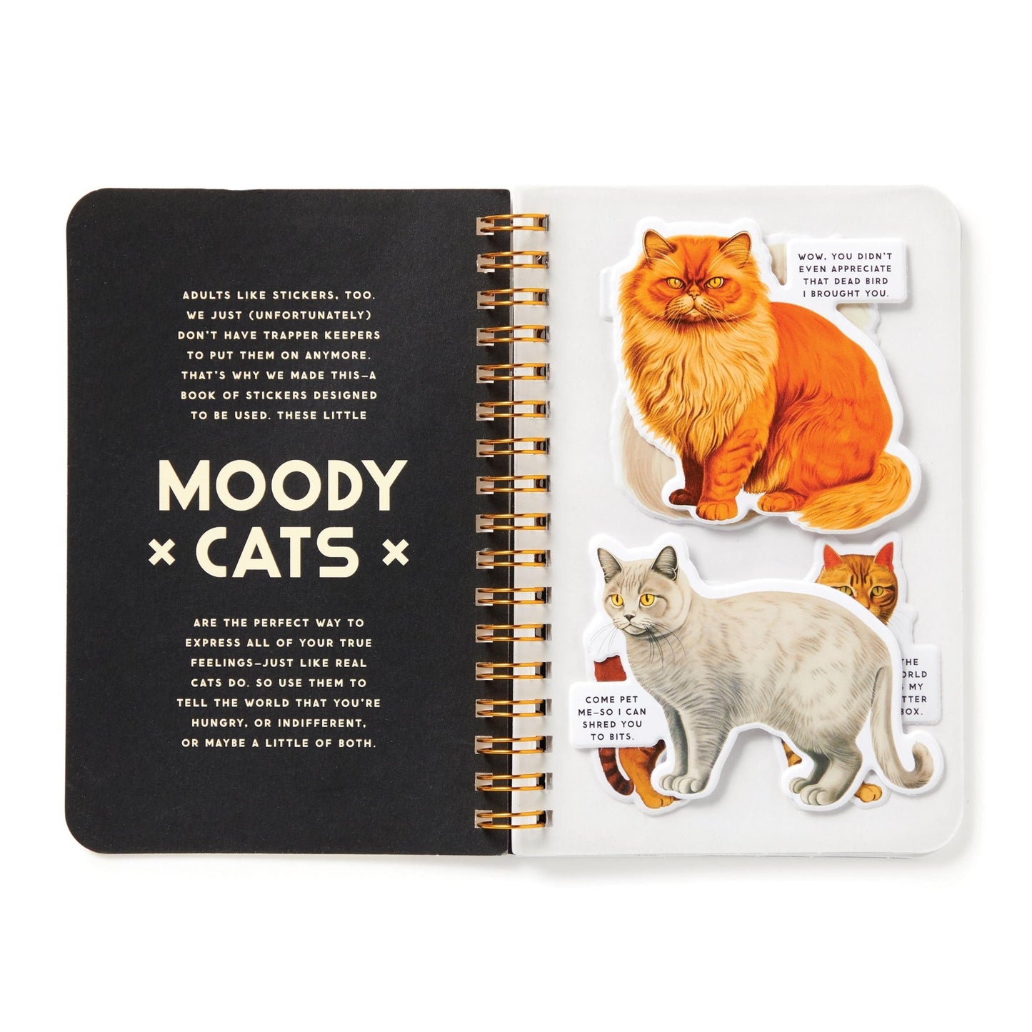 Moody Cats sticker book - Gizmo Gifts