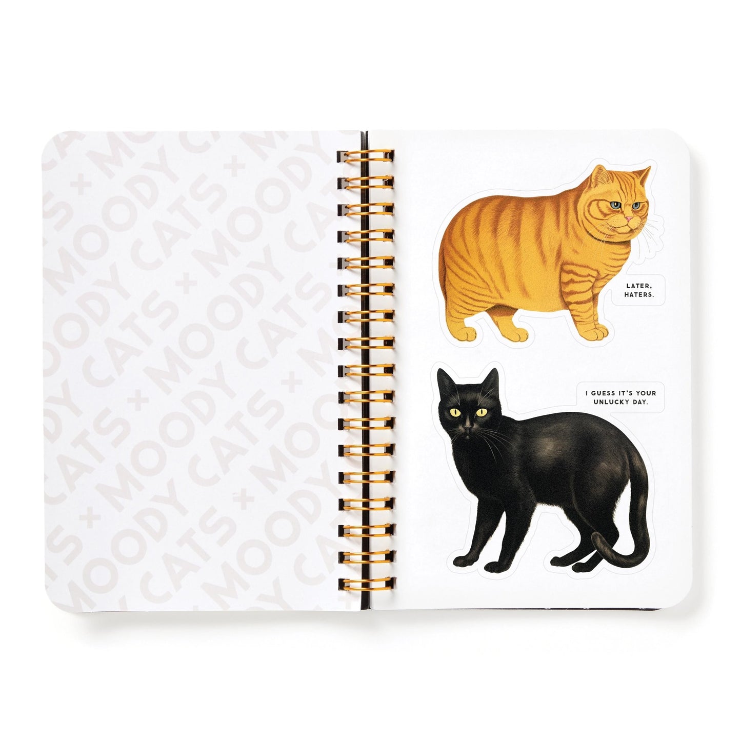 Moody Cats sticker book - Gizmo Gifts