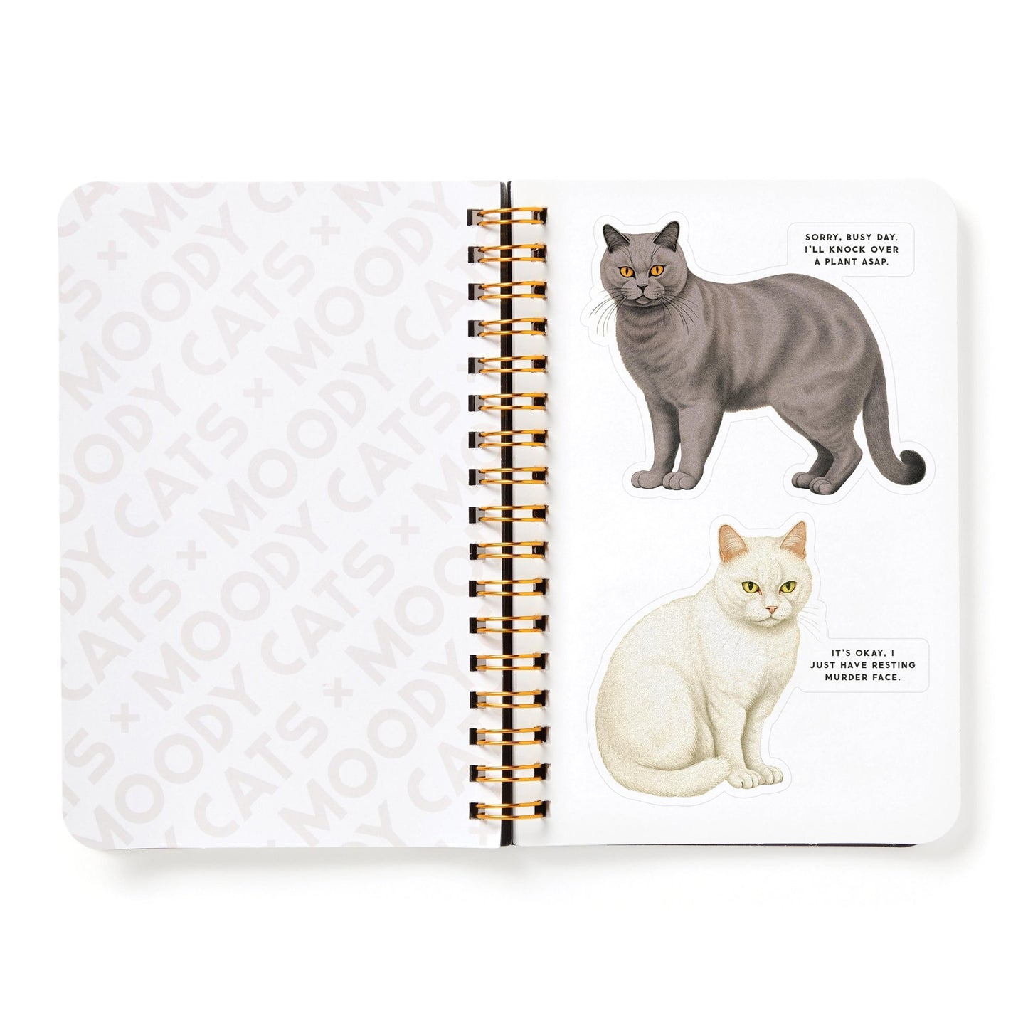 Moody Cats sticker book - Gizmo Gifts