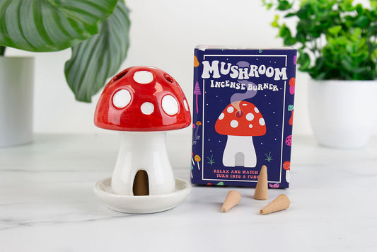 Mushroom house incense holder with blue box packaging and three cones. Two potted plants in the background on a whitetable.