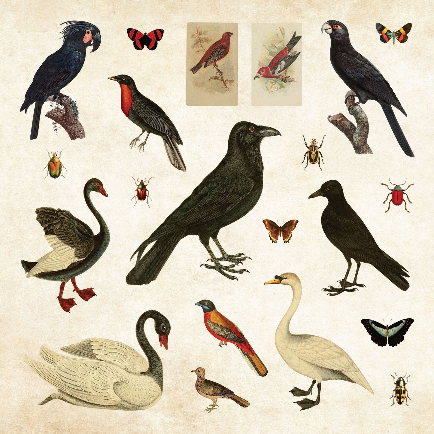Mystical Ephemera sticker book