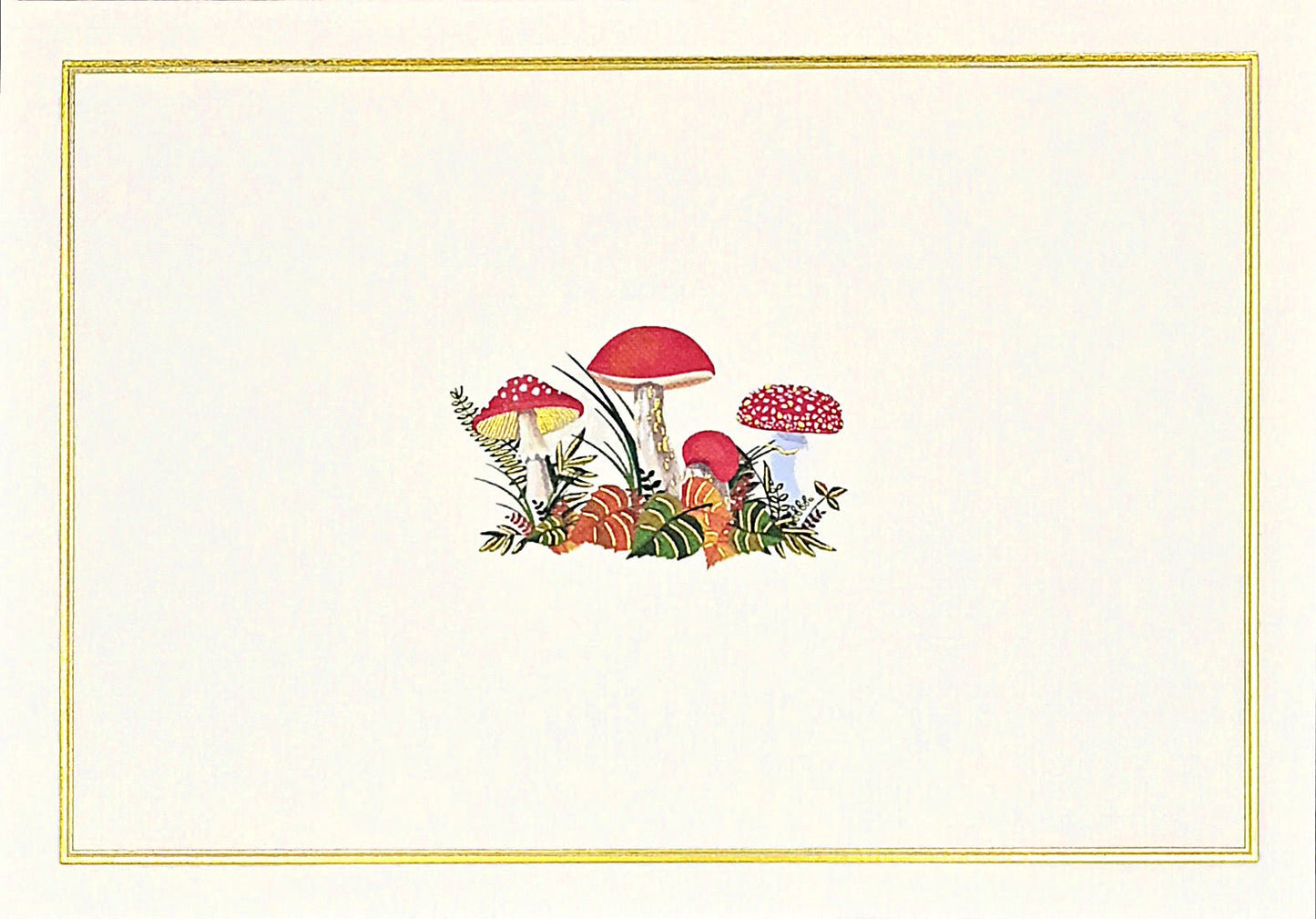 Note cards - Mushrooms - Gizmo Gifts
