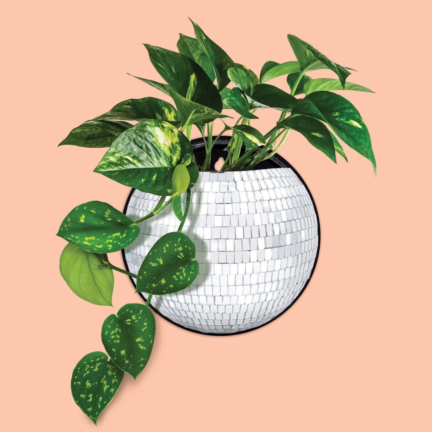 NPW Magnetic Disco planter - Gizmo Gifts