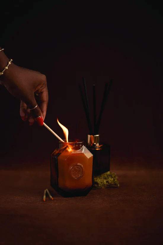 Paddywax Botanica candle - Leather and Smoke 8oz - Gizmo Gifts