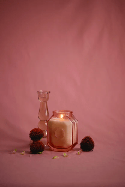 Paddywax Botanica candle - Saffron and Rose 8oz - Gizmo Gifts
