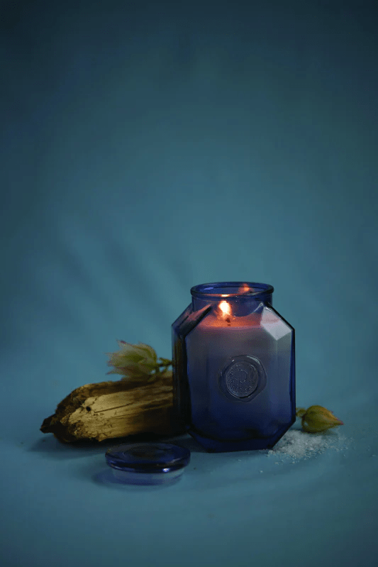 Paddywax Botanica candle - Seasalt and Amber 8oz - Gizmo Gifts
