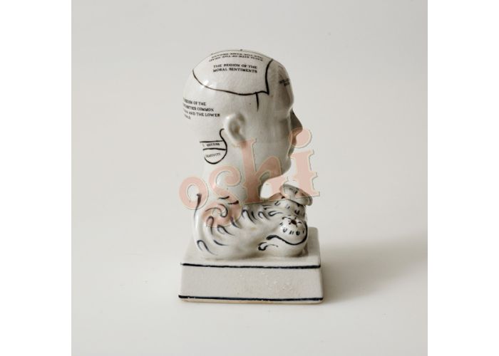 Phrenology head inkwell (15cm)by OSHI - Gizmo Gifts