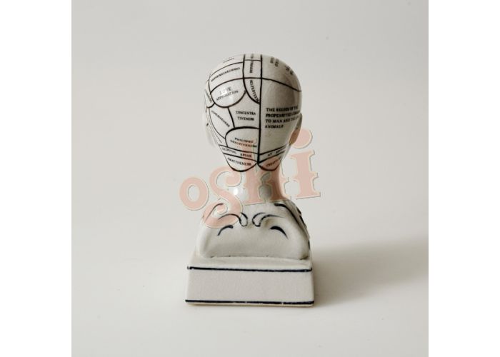 Phrenology head inkwell (15cm)by OSHI - Gizmo Gifts