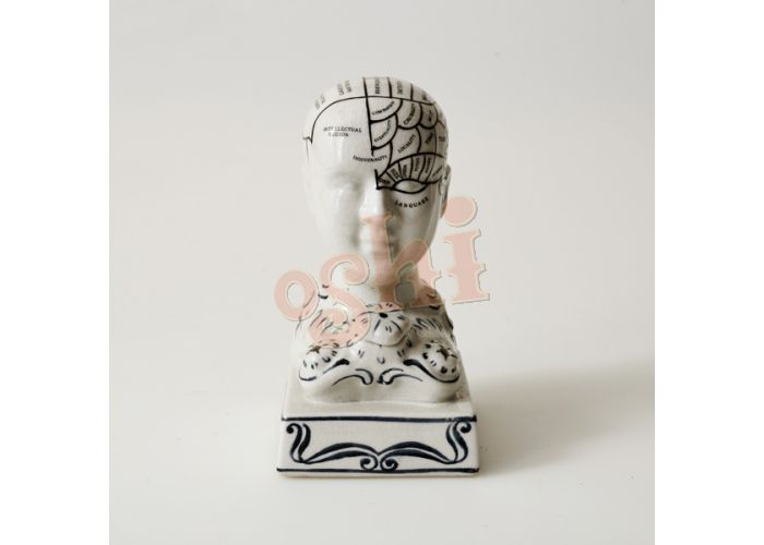Phrenology head inkwell (15cm)by OSHI - Gizmo Gifts