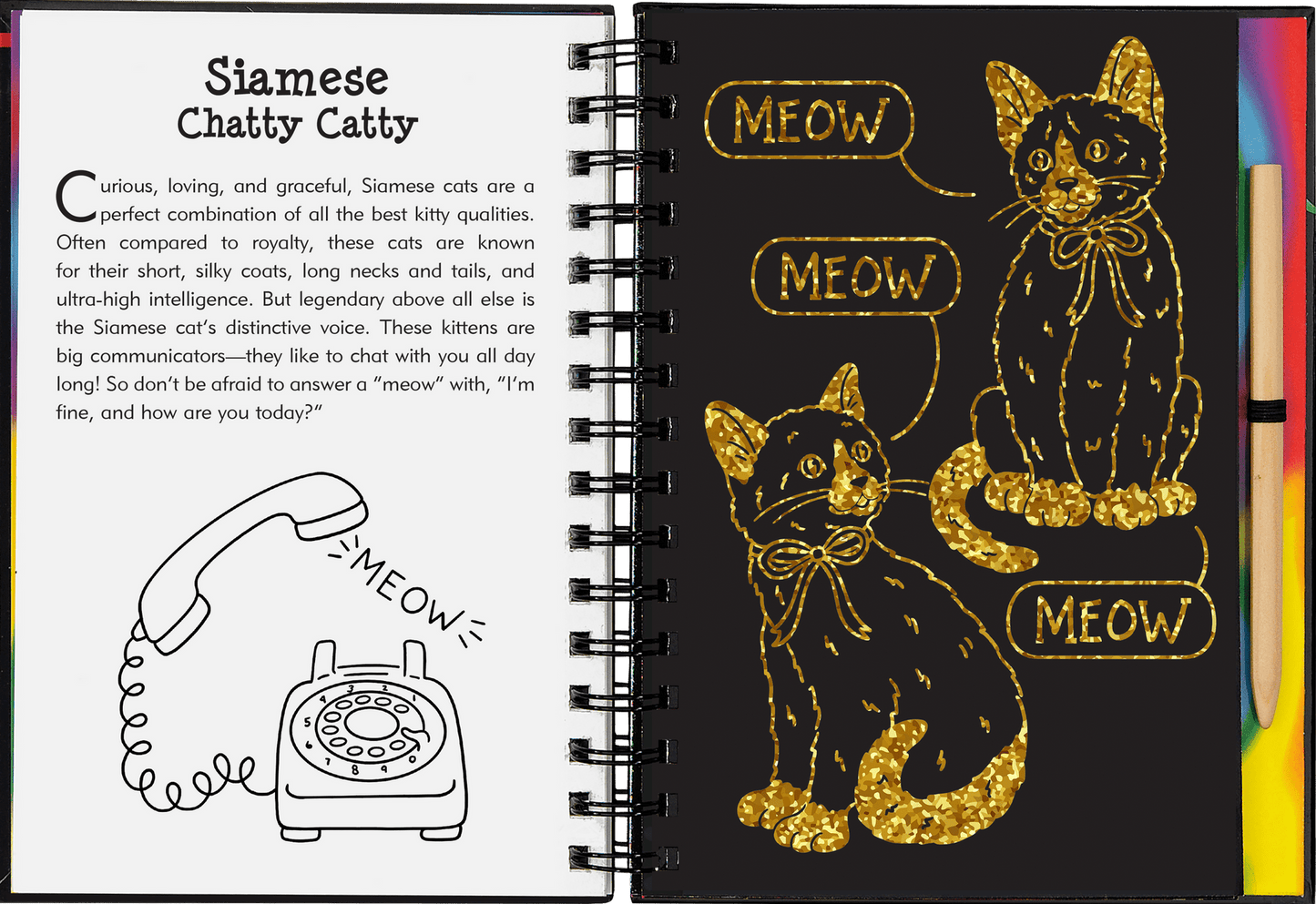 Scratch & Sketch activity book - Kittens - Gizmo Gifts