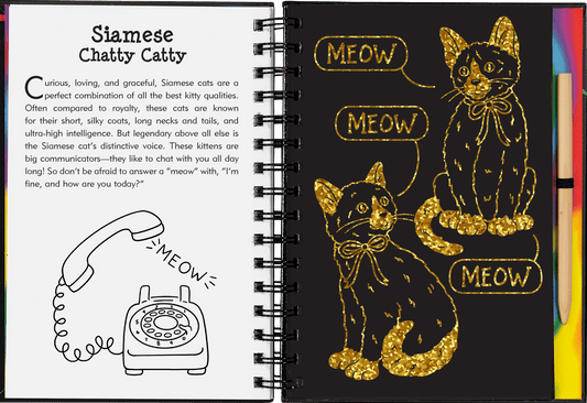 Scratch & Sketch activity book - Kittens - Gizmo Gifts