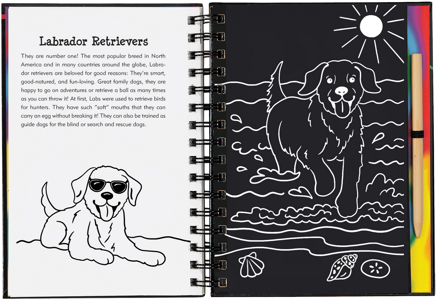 Scratch & Sketch activity book - Puppies - Gizmo Gifts