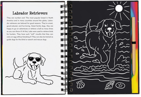 Scratch & Sketch activity book - Puppies - Gizmo Gifts