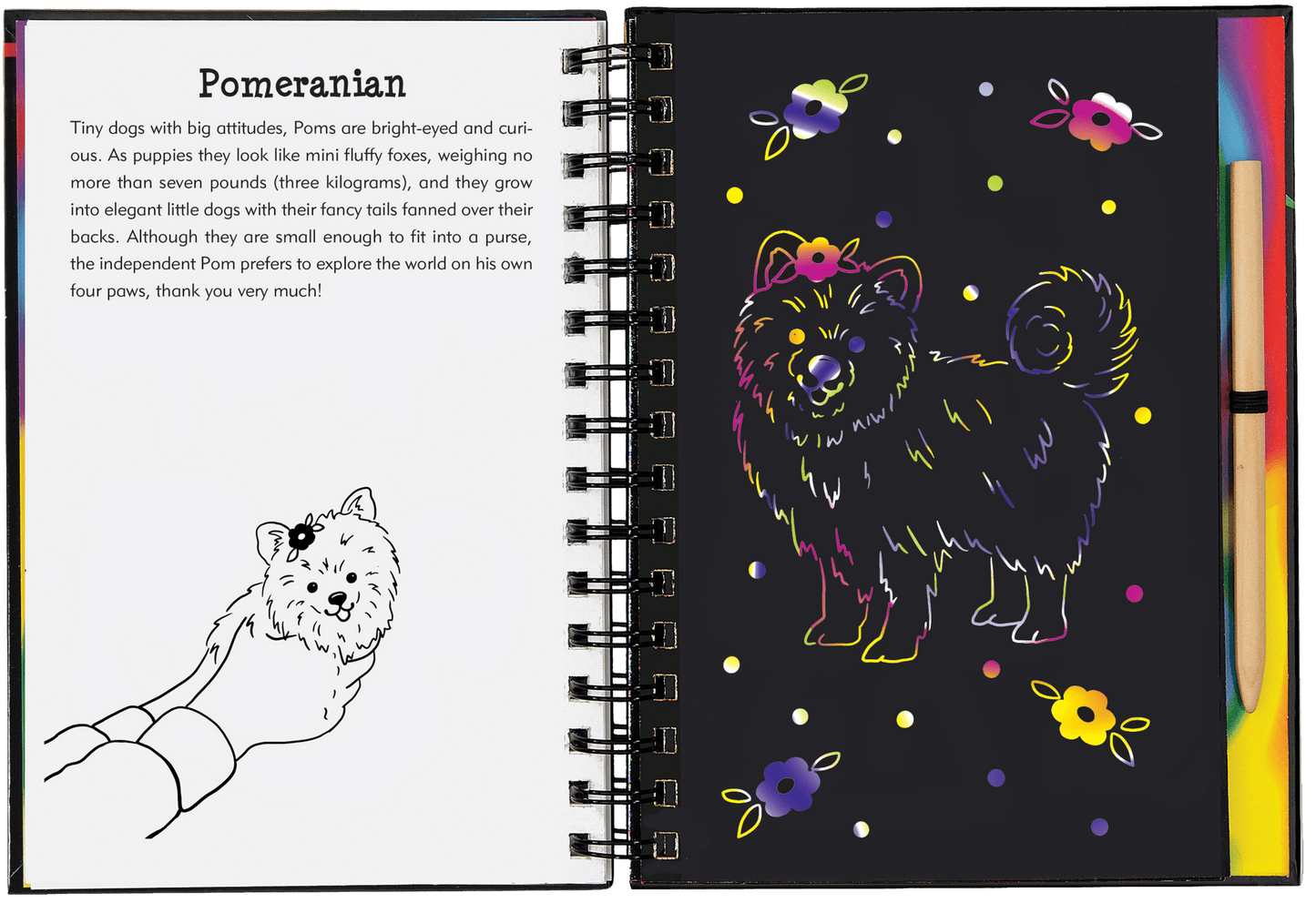 Scratch & Sketch activity book - Puppies - Gizmo Gifts