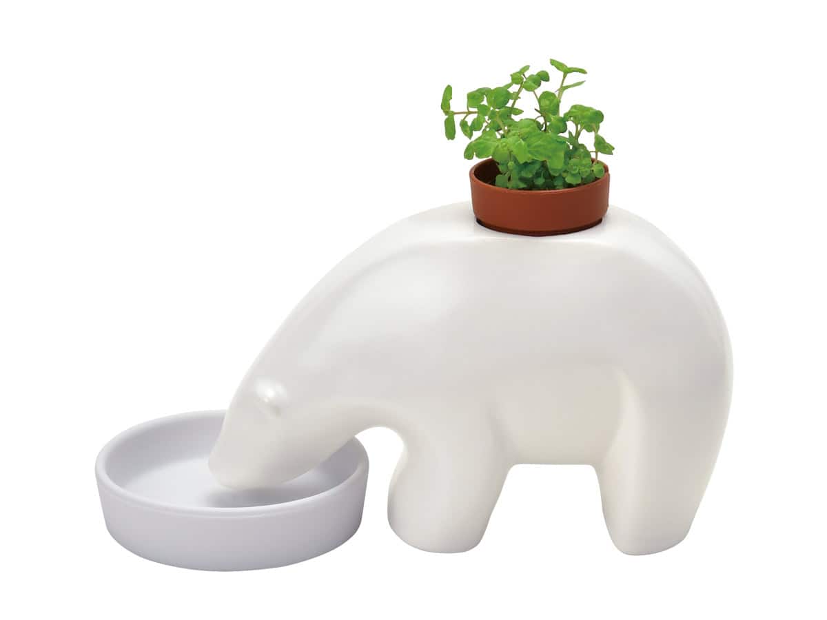 Sheishin Japan Polar bear plant pot - Gizmo Gifts