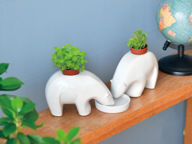 Sheishin Japan Polar bear plant pot - Gizmo Gifts
