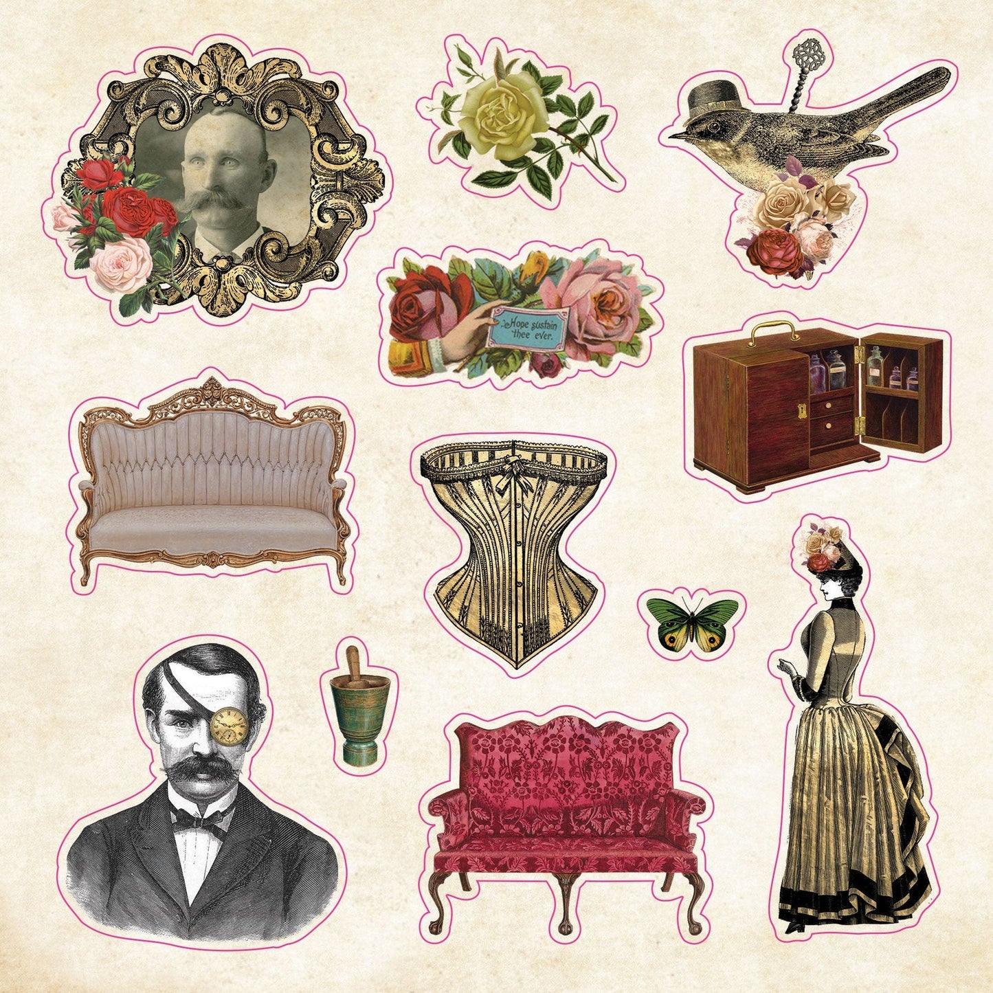 Sticker book of curiosities - Gizmo Gifts