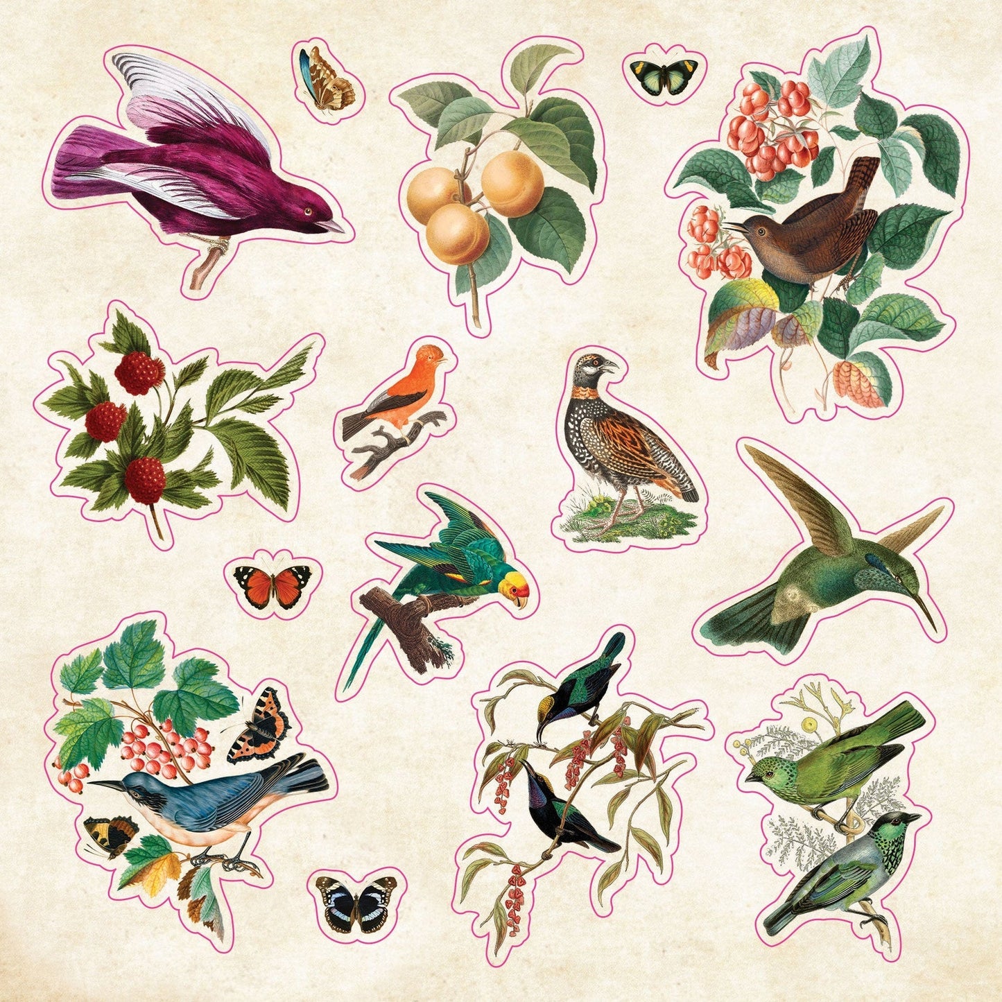 Sticker book of curiosities - Gizmo Gifts