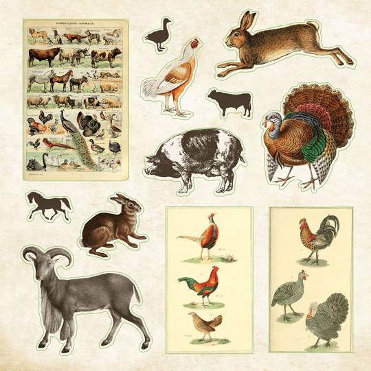 Sticker book Zoological Ephemera - Gizmo Gifts