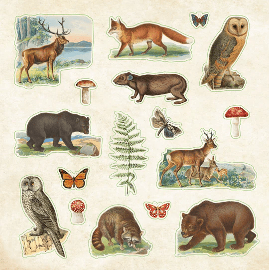 Sticker book Zoological Ephemera - Gizmo Gifts