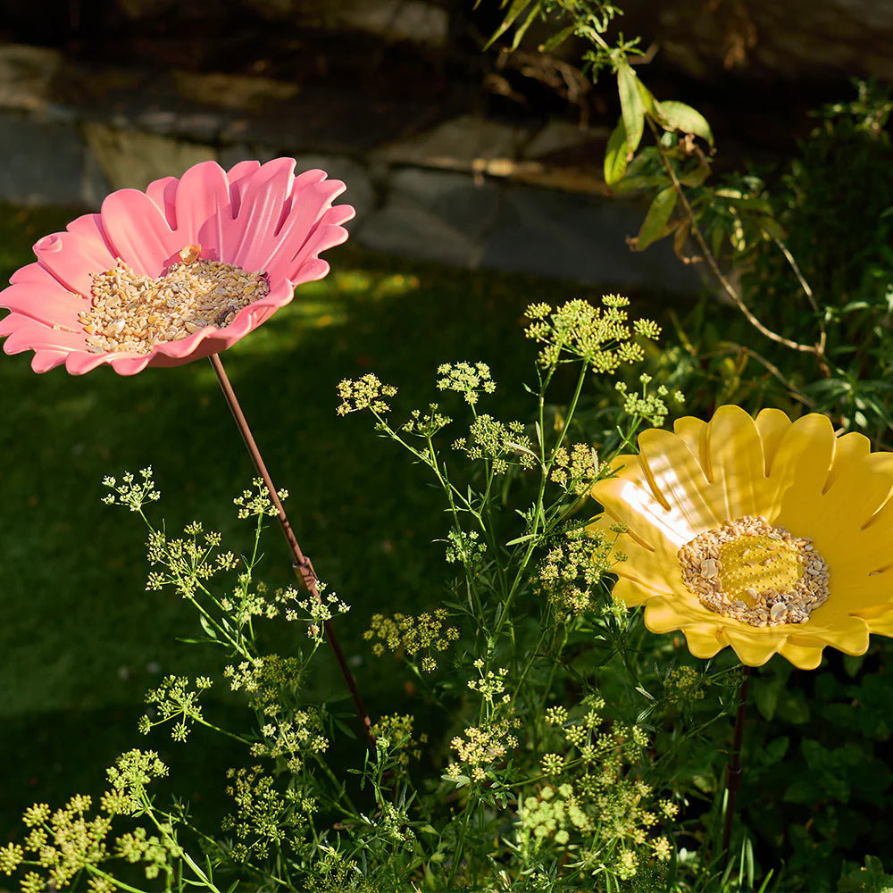 Pink and yellow bird baths flowers in a garden setting