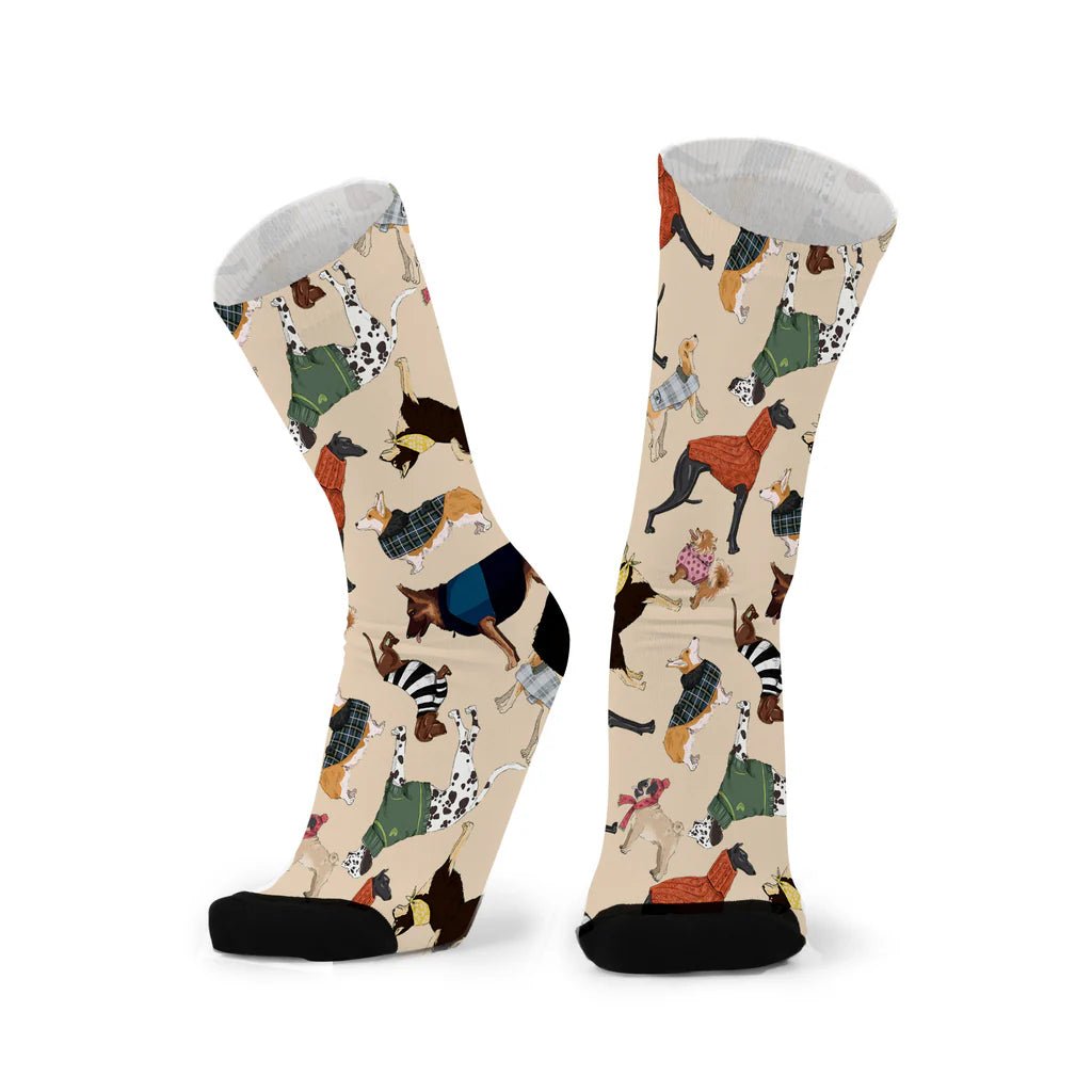 Unisex socks - Best in Show by REDFOXSOX - Gizmo Gifts