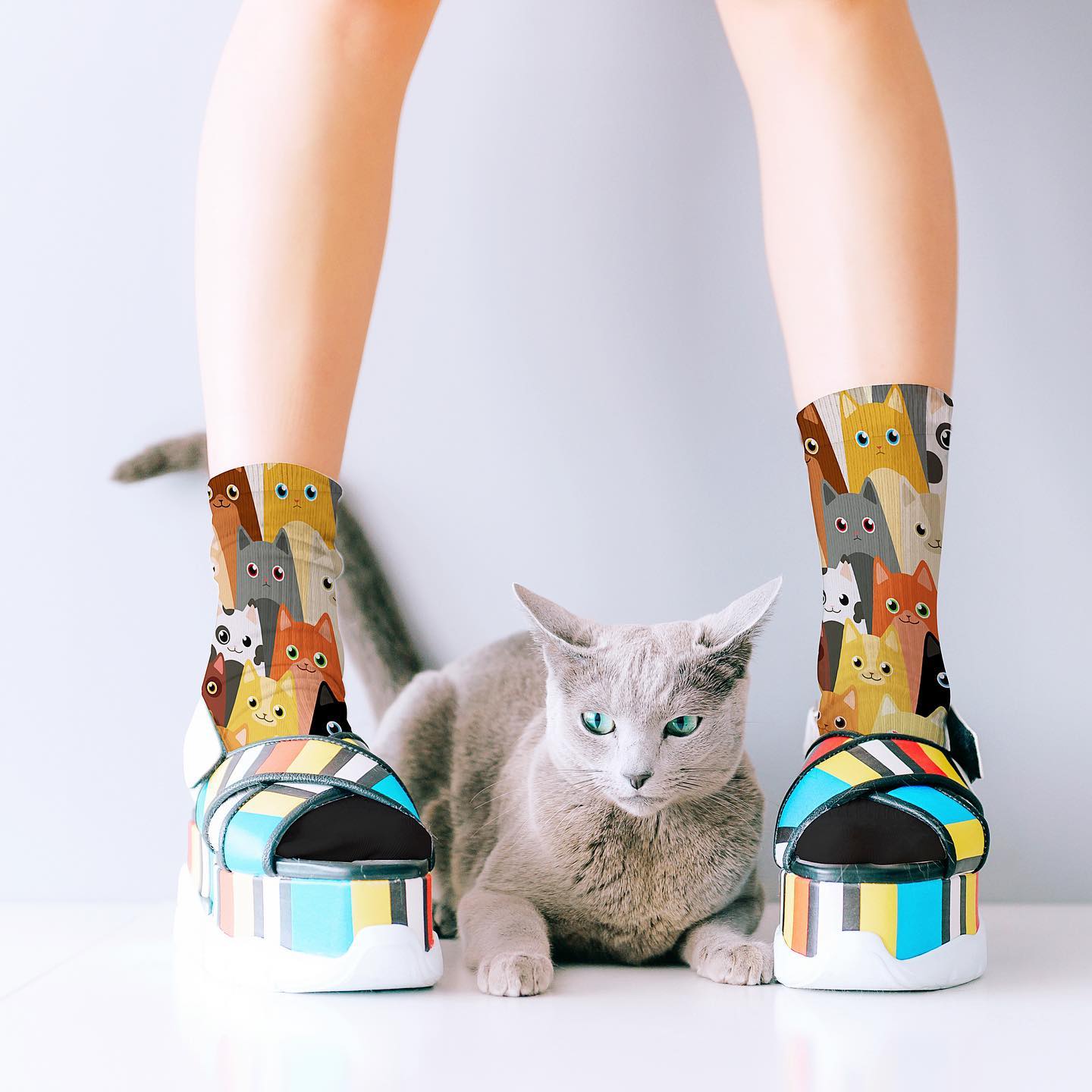 Unisex socks - Herding Cats by REDFOX SOX - Gizmo Gifts