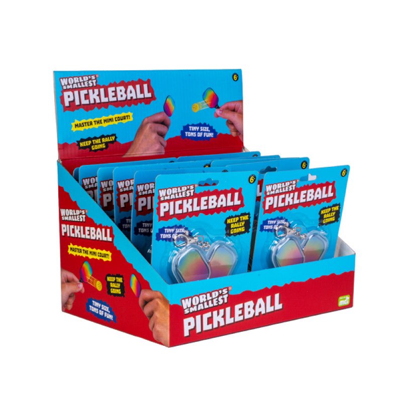 World's smallest Pickleball set - Gizmo Gifts