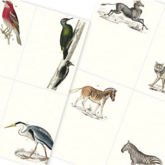 Label and Sticker book - Fauna - Gizmo Gifts