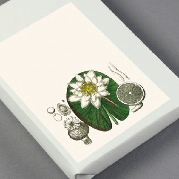 Label and Sticker book - Flora - Gizmo Gifts