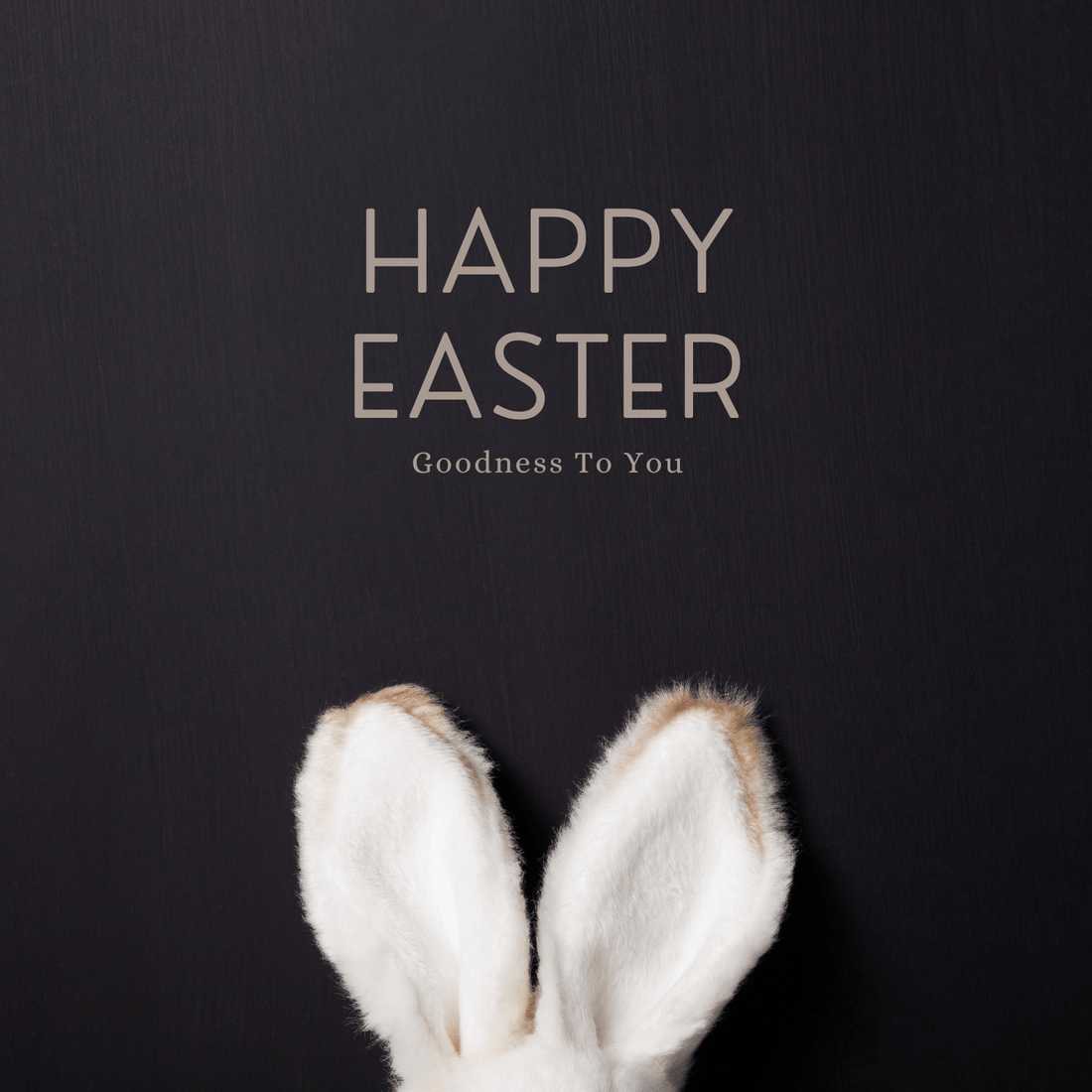 Happy Easter banner- White bunny ears appearing at the bottom -solid black background